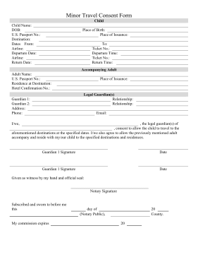 Minor Travel Consent Form legal pleading template