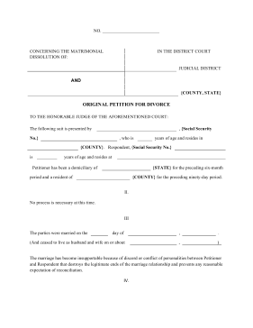 Petition of Divorce legal pleading template