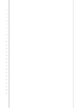 Blank pleading paper, 25 lines, 1-inch left and right margins, double and single border lines legal pleading template