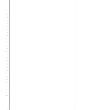 Blank pleading paper, 28 lines, 1-inch left and right margins, double and single border lines legal pleading template