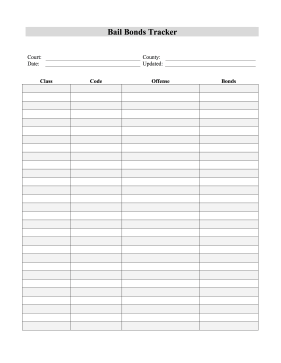 Bail Bonds Tracker legal pleading template