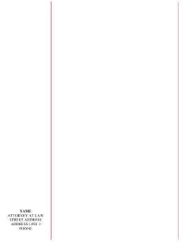 Blank Legal Pleading Paper Red Lines Personalized Margin legal pleading template