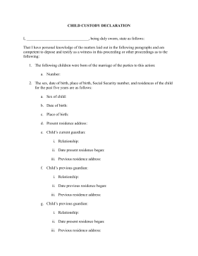 Child Custody Form legal pleading template