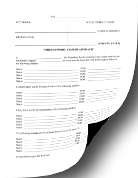 Child Support Answer Affidavit legal pleading template