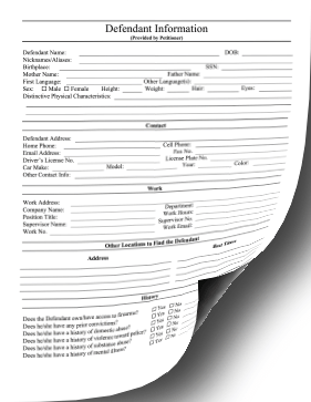 Defendant Information Form legal pleading template