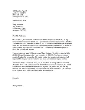 Demand Letter Sample legal pleading template