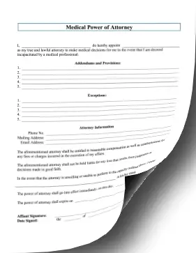 Medical Power of Attorney legal pleading template