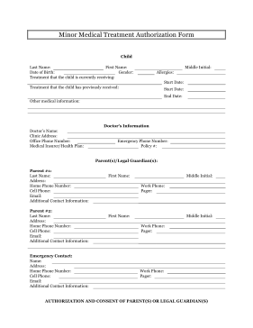 Minor Medical Treatment Authorization legal pleading template