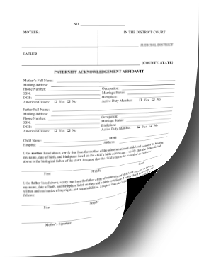 Paternity Acknowledgement Affidavit legal pleading template