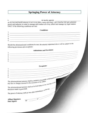 Springing Power Of Attorney legal pleading template