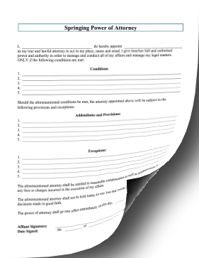 Springing Power Of Attorney legal pleading template